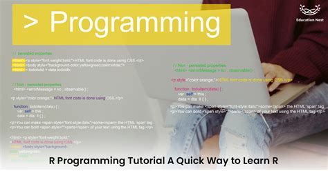 Image result for R Programming Tutorial Learn the Basics