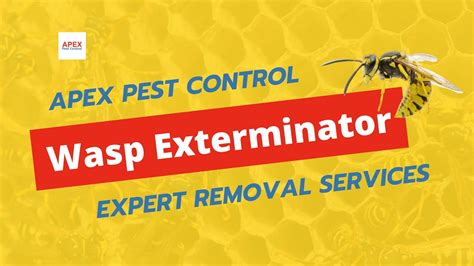 Wasp Exterminator に対する画像結果