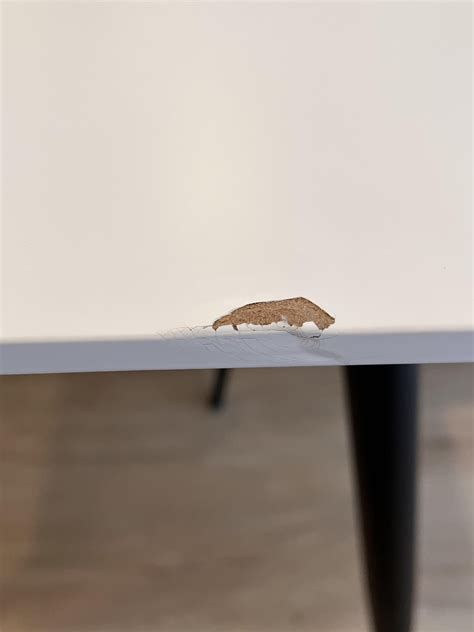 Image result for Table Top Defect