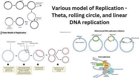 Image result for DNA Microarray Principle