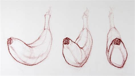 Image result for Contour Drawing Objects