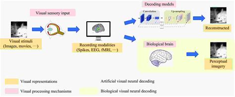 Image result for Neural Decoding MLE Example