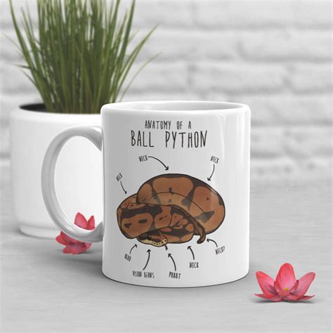 Image result for Python Bite Mug