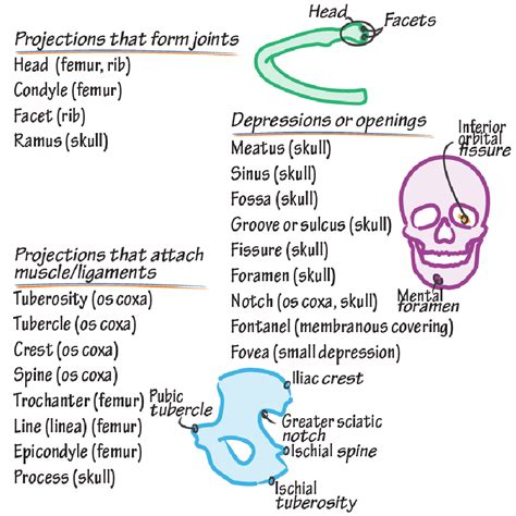 Toradh íomhá ar Functions of Features of Scratch