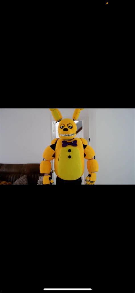Image result for Spring Bonnie Spring Lock