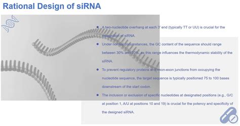 Image result for siRNA Design