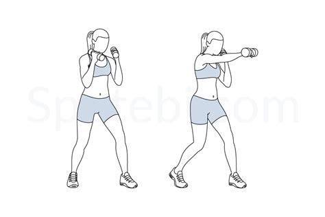 Afbeeldingsresultaten voor Boxing Punches Workout