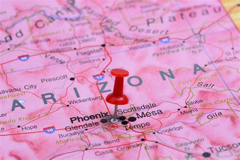 Image result for Arizona Desert Tarantula