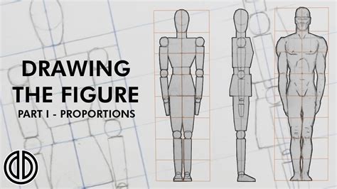 Image result for Drawing the Human Body Tutorial
