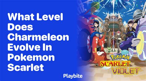 When Does CharmeLeon Evolve in Pokemon Quest-க்கான படிம முடிவு