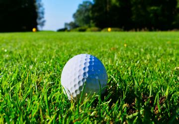 Image result for Golf Turf Types