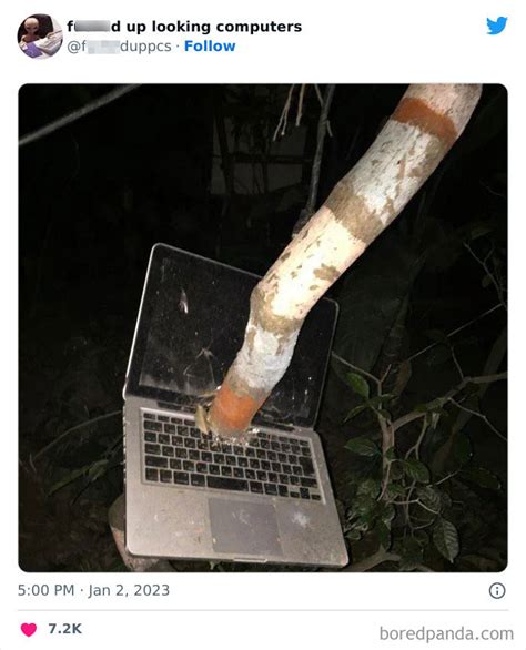 Afbeeldingsresultaten voor Drawing of a Cursed Computer