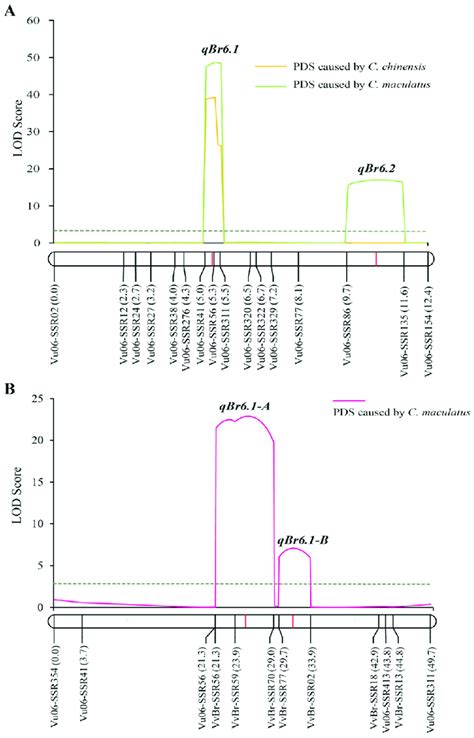 Image result for Log Distance vs Lod Time Graph