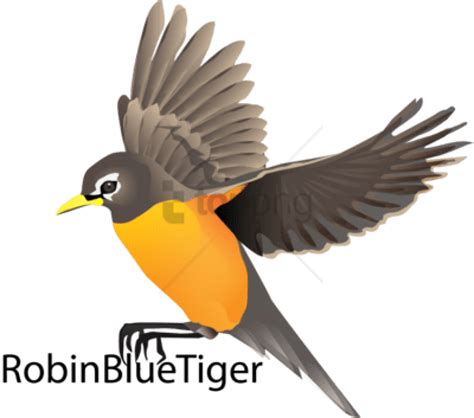 تصویر کا نتیجہ برائے Robin Bird Flying Cartoon