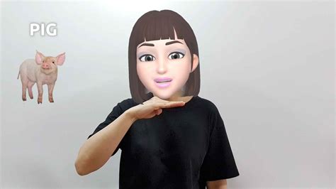 Afbeeldingsresultaten voor ASL Pig