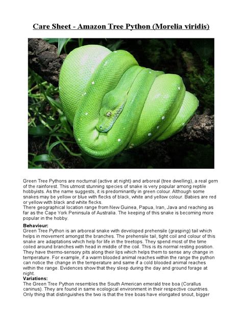 Care Sheet - Green Tree Python | PDF | Egg | Vivarium