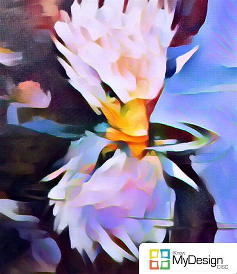 Image result for Discc Design