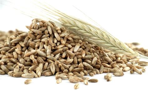 What Is Blye Grain に対する画像結果