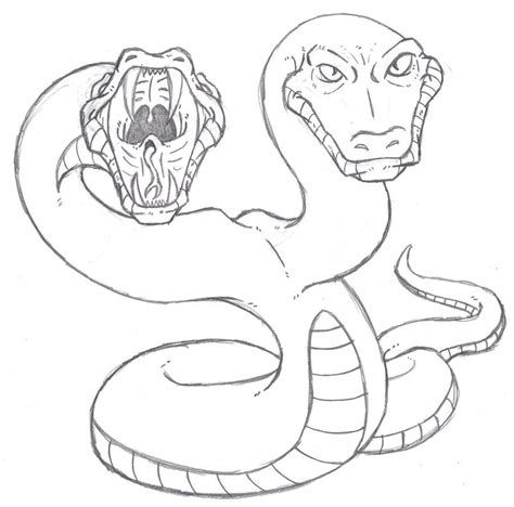 Image result for Python Drawn