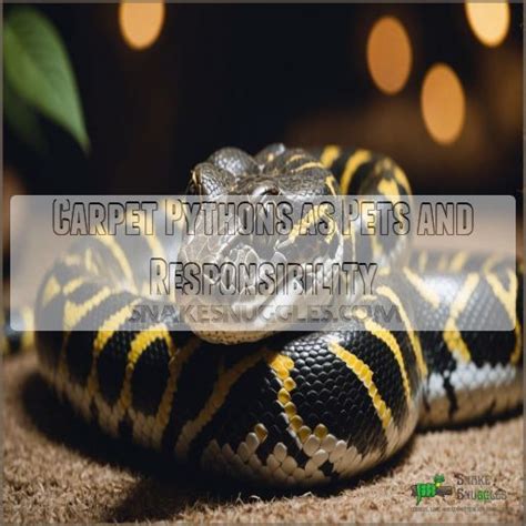 Image result for Carpet Python Habitat