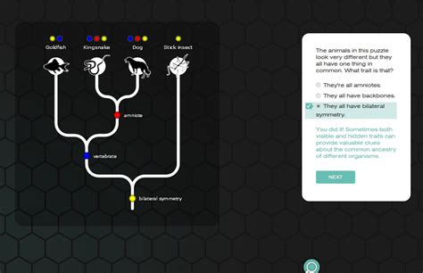 Image result for Evolution Lab Answer Key