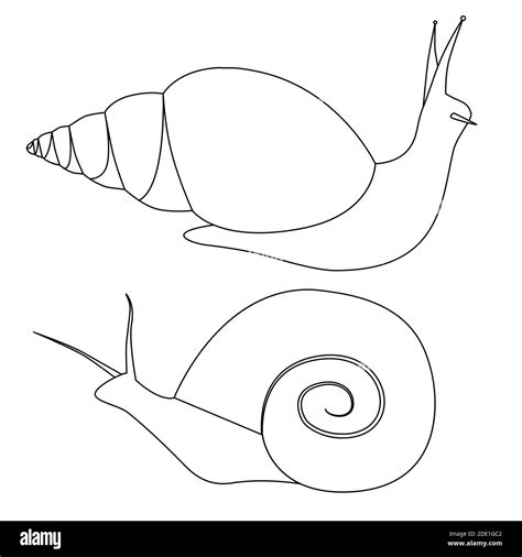 Image result for Contour Drawing Objects