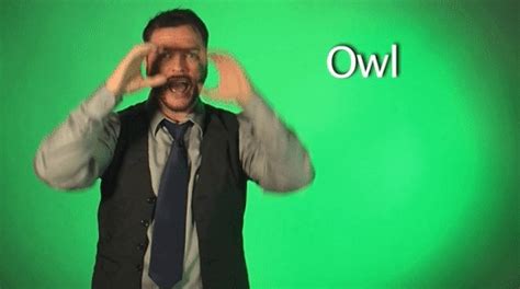 Image result for ASL Owl Sign