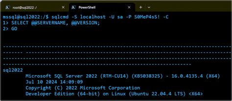 Image result for SQL Server Pod Configuration