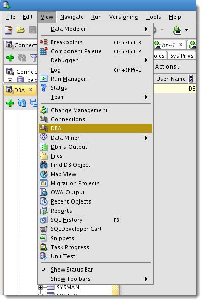Toradh íomhá ar Oracle SQL Developer Roles