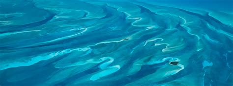 Image result for Ocean Color Sensor