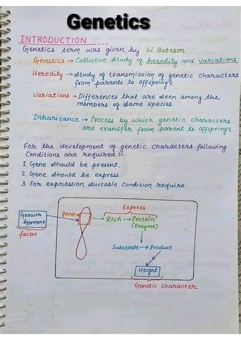 Toradh íomhá ar Write a Short Note On Genetic Algorithm