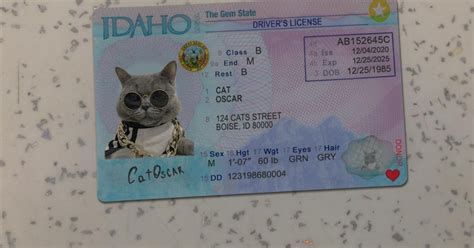 Image result for Idriver License