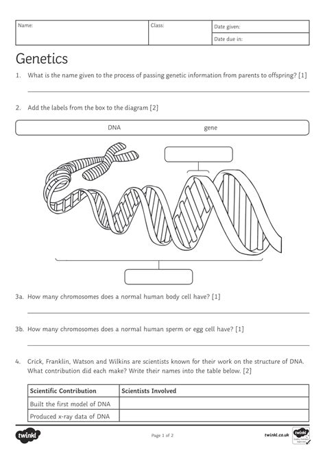 Genetics Introduction Worksheet に対する画像結果