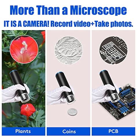 Toradh íomhá ar Oxbird Microscope Software