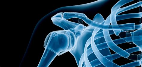 Image result for Radiatioology