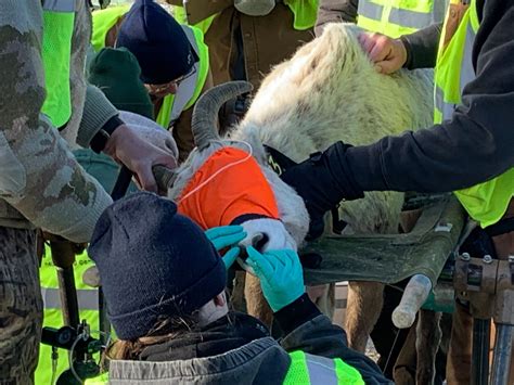 Nebraska Big Game に対する画像結果