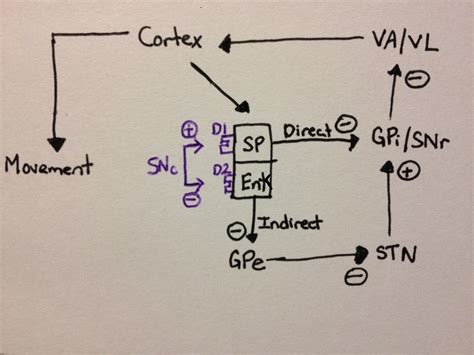 Image result for Sequence Diagram for Parkinson Disease