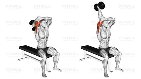 Image result for One Arm Overhead Dumbbell Extension