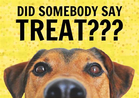 Image result for Ending Presentation Meme