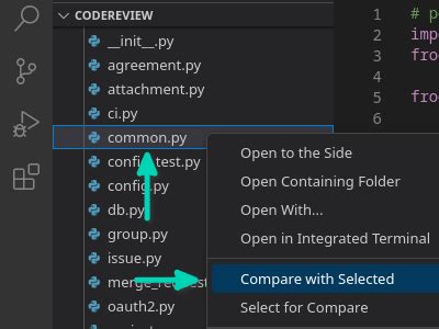 Image result for Visual Studio Code Diff