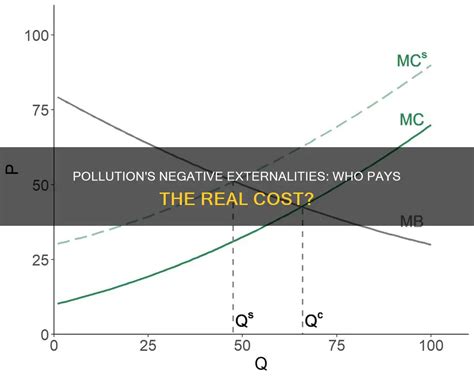 Toradh íomhá ar Negative Externality Examples Real Life
