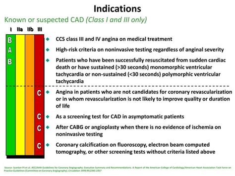Image result for Angiograph Different Views