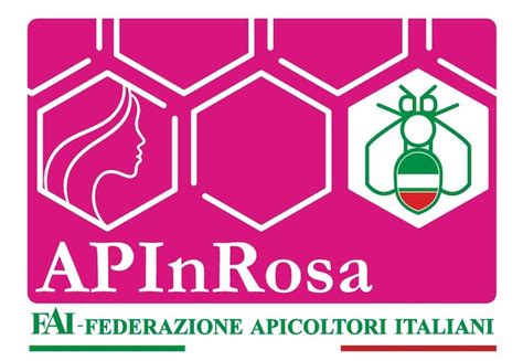 Toradh íomhá ar Progetto API