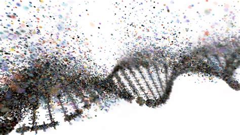 Transducer Array Optune に対する画像結果