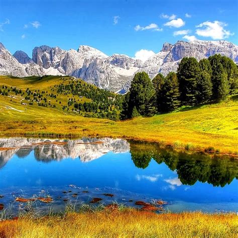 Image result for Jpg Animal Icon