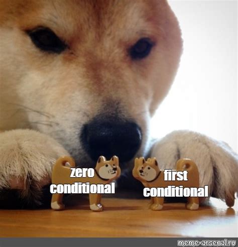 Meme About Conditional Statements-এর ছবি ফলাফল