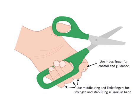 Long Loop Scissors - Peta UK - Easi grip