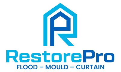 Restore Pro Logo に対する画像結果