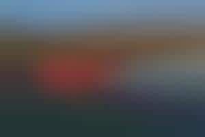 Image result for Python Cars Boat