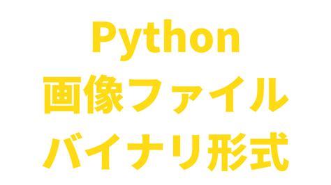 Image result for Python Binary File Directory